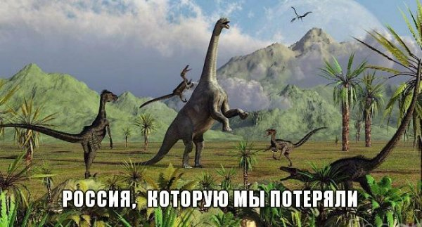 11735645_yapfiles.ru