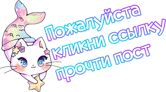 котик