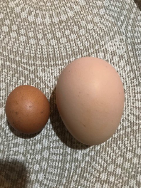 _viber_2019-07-10_09-11-05