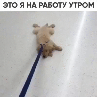 на работу