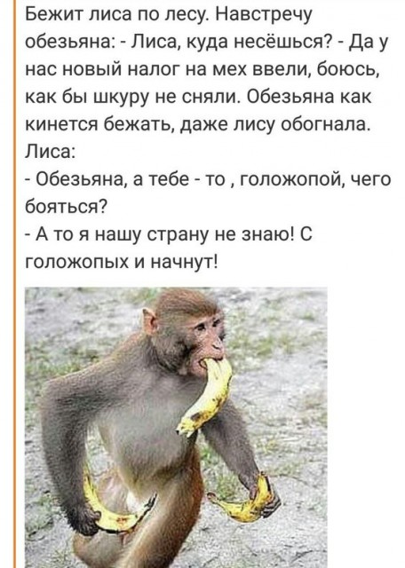 71b642b53c5010bf7574add27fdc95e3