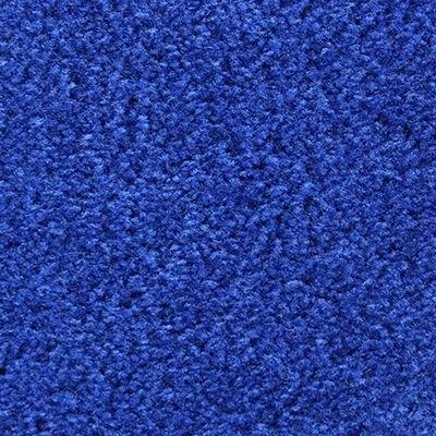 royal-blue-carpet-runner-for-party-carpets-on-stairs-safe-search-home