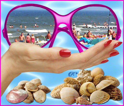 lato,-morze-i-muszelki