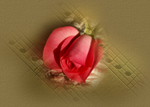3__arnusha
