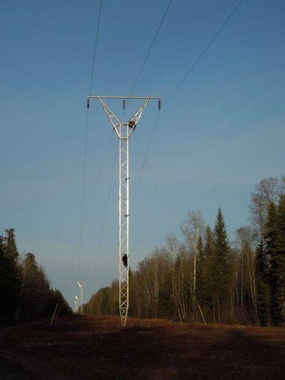 Жрать захочешь, не так раскорячишься