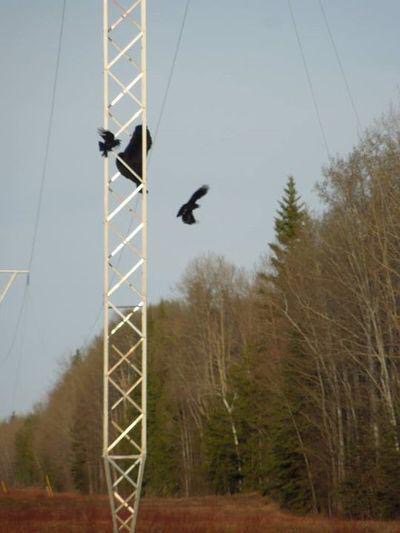 0CCB0F94-2782-408C-90E9-DF38F780AD68