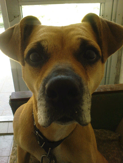 Делины Глаза