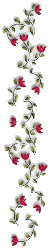 1_2