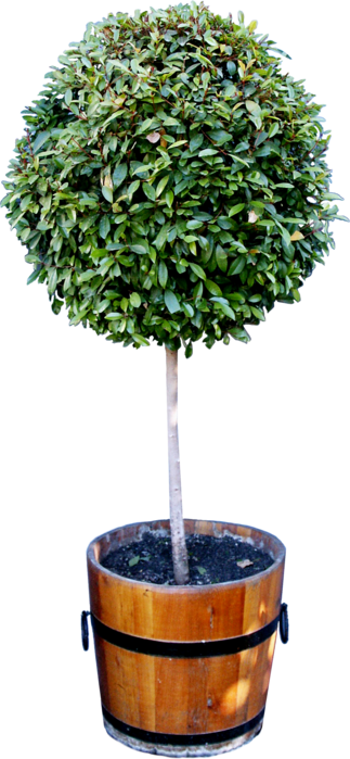 95999632_wlop_itt__46_