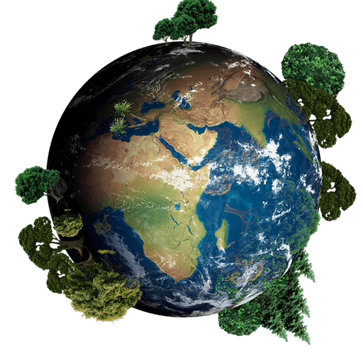 globe_PNG42 (1)