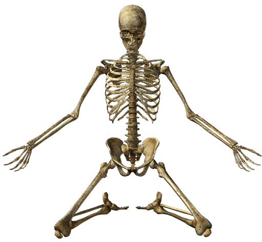 8b2fd8ffd9eac2f0e18546fcfd7b8df4 (1)