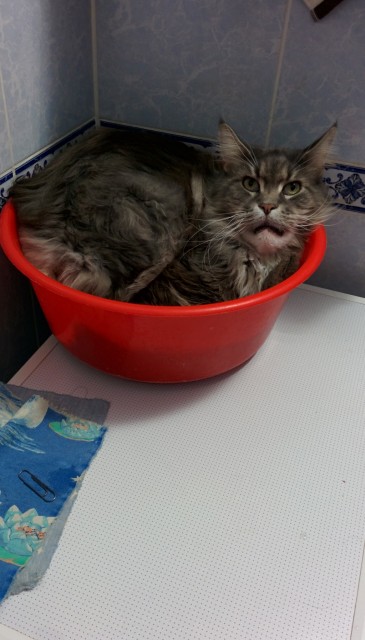 6648685200208489670_account_id=1