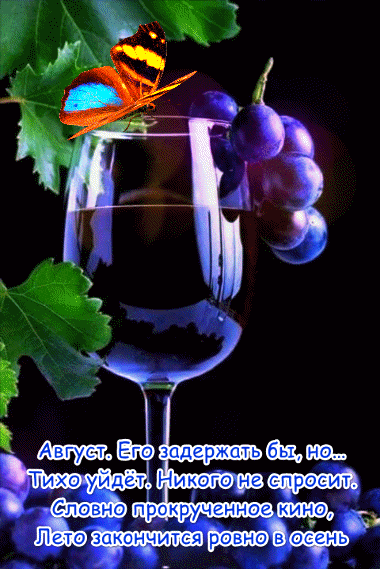 15656170123300355 (1)