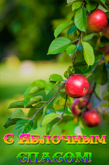 ezgif-4-9e5eaebb06bd