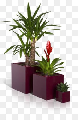 kisspng-flowerpot-garden-small-potted-plants-5b0c4f5ea19880.8169477715275334066619-min
