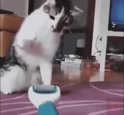 KOTE_1