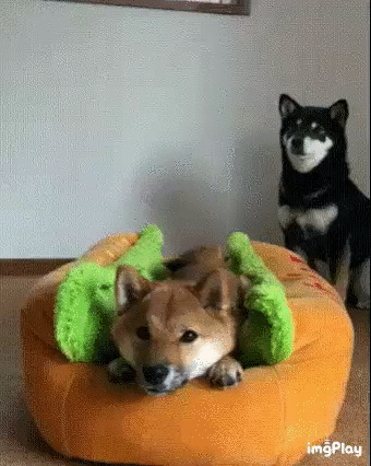 всё равно лучше..