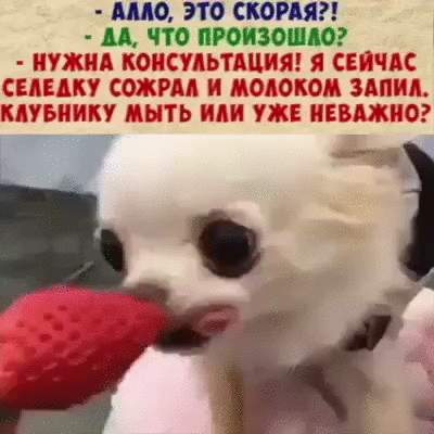 ягодку_55313378