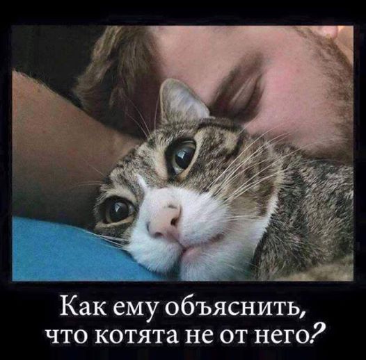 2017-01-27-1485542465