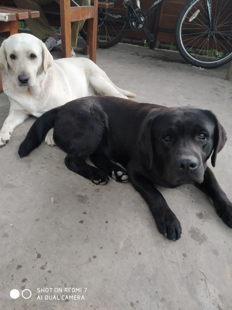 _viber_2019-08-28_01-04-27