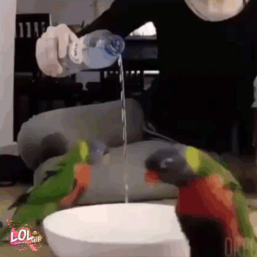 60