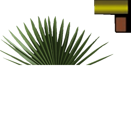 растение-min