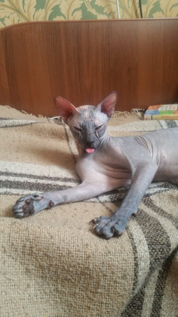 IMG-20190305-WA0003 (1)