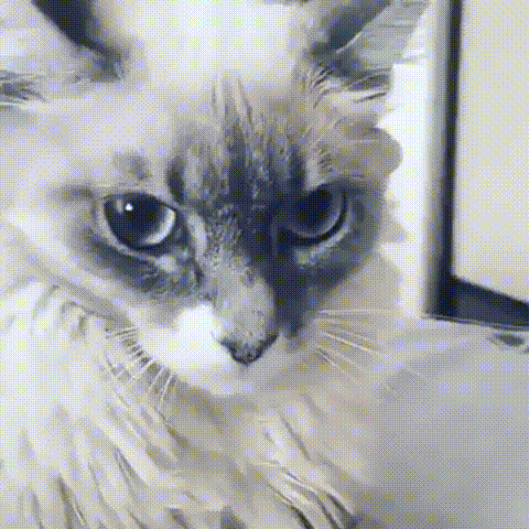 WhatsApp_Video_20190630_at_08.46.34_yapfiles.ru