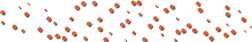 _arnusha