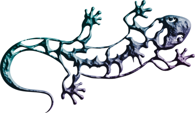 depositphotos_101576160-stock-illustration-black-and-white-salamander-logo copy