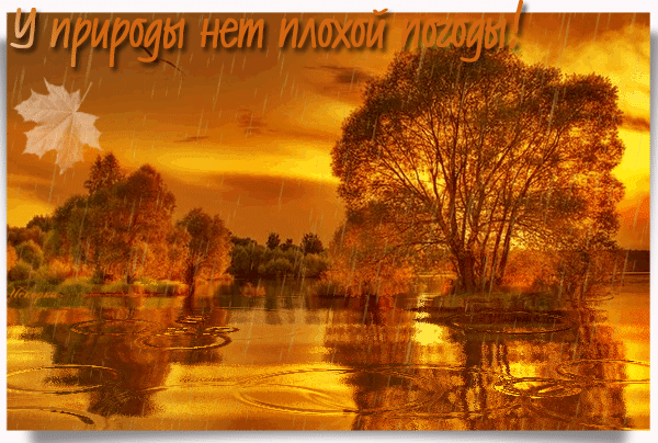 -рамкойу природы нет плохой погоды