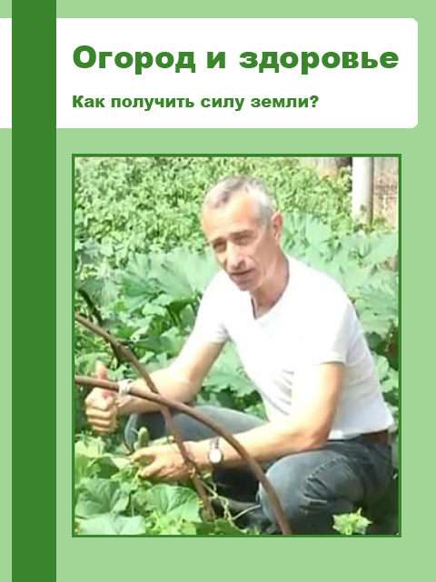 сила земли
