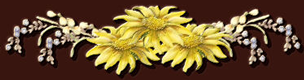 4__arnusha