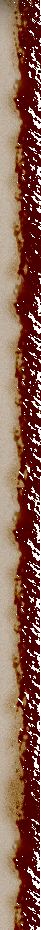 1_3_arnusha