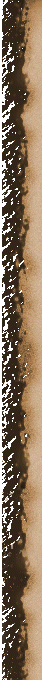 1_3_6