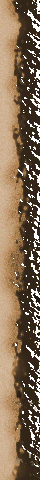 1_3_arnusha