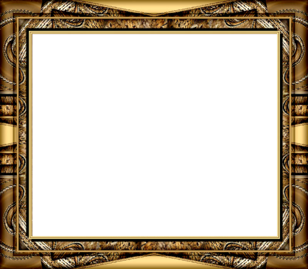 www.tvn.hu_4561251af28afc5ecfa98e7c97da3ee1