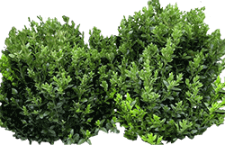 789456123_yapfiles.ru (1)