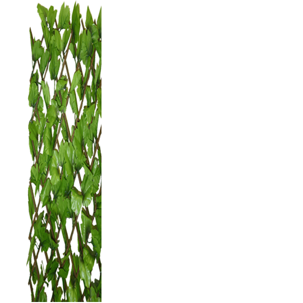 326224_01_apacaracs-mu-borostyan-levelekkel-1x2m-zold-greenly