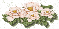 1_3_1