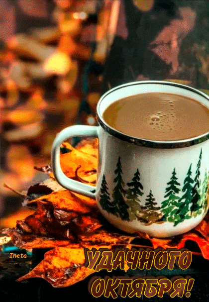 156989022668386232 (1)