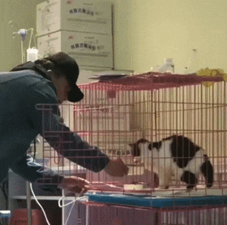 ezgif-2-7a557377b0c3