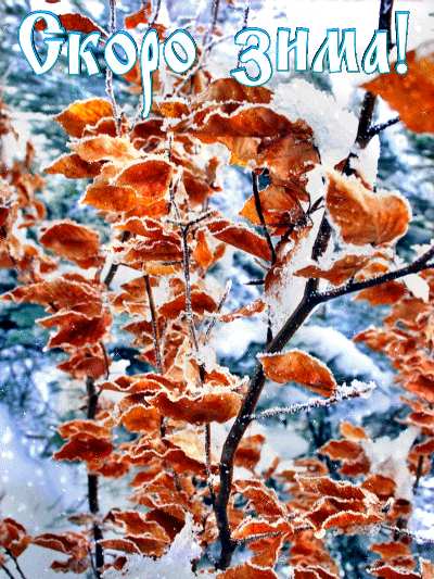 ezgif-2-feb107ad7cc5 (1)