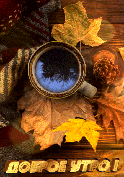 ezgif-4-d074bc56c761 (1)