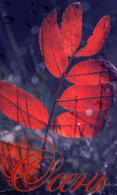 ezgif-4-6e46e46742a4