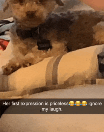 tmp_cleverpub_b89d9a8824197afeab6654c91083fa41