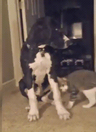1 (2)
