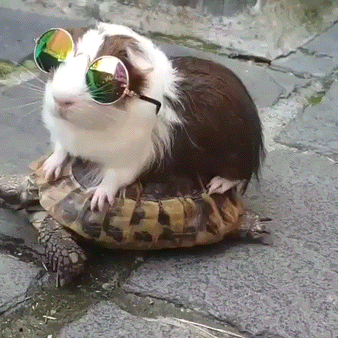 relax