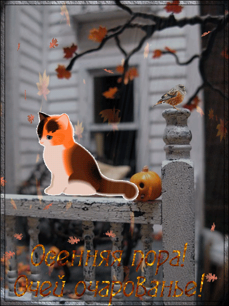 -очарование