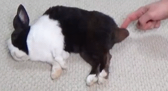 Автоматическая выдача